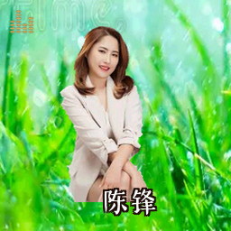 陈锋